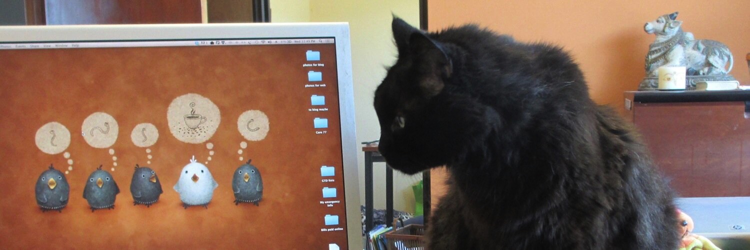 Black cat looking at a computer screen